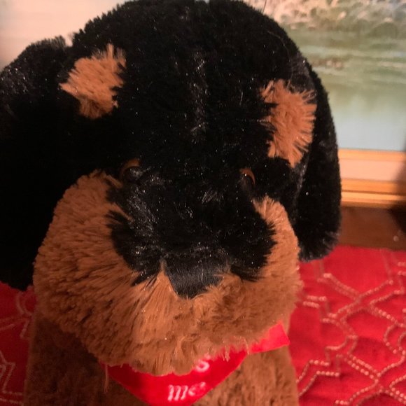 Kiss me Puppy Plush Dog - Picture 2 of 9